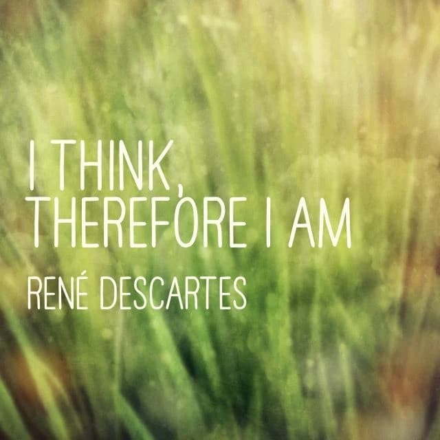 A saved image of grass bearing ‘I THINK, THEREFORE I AM’ and René Descartes's name.