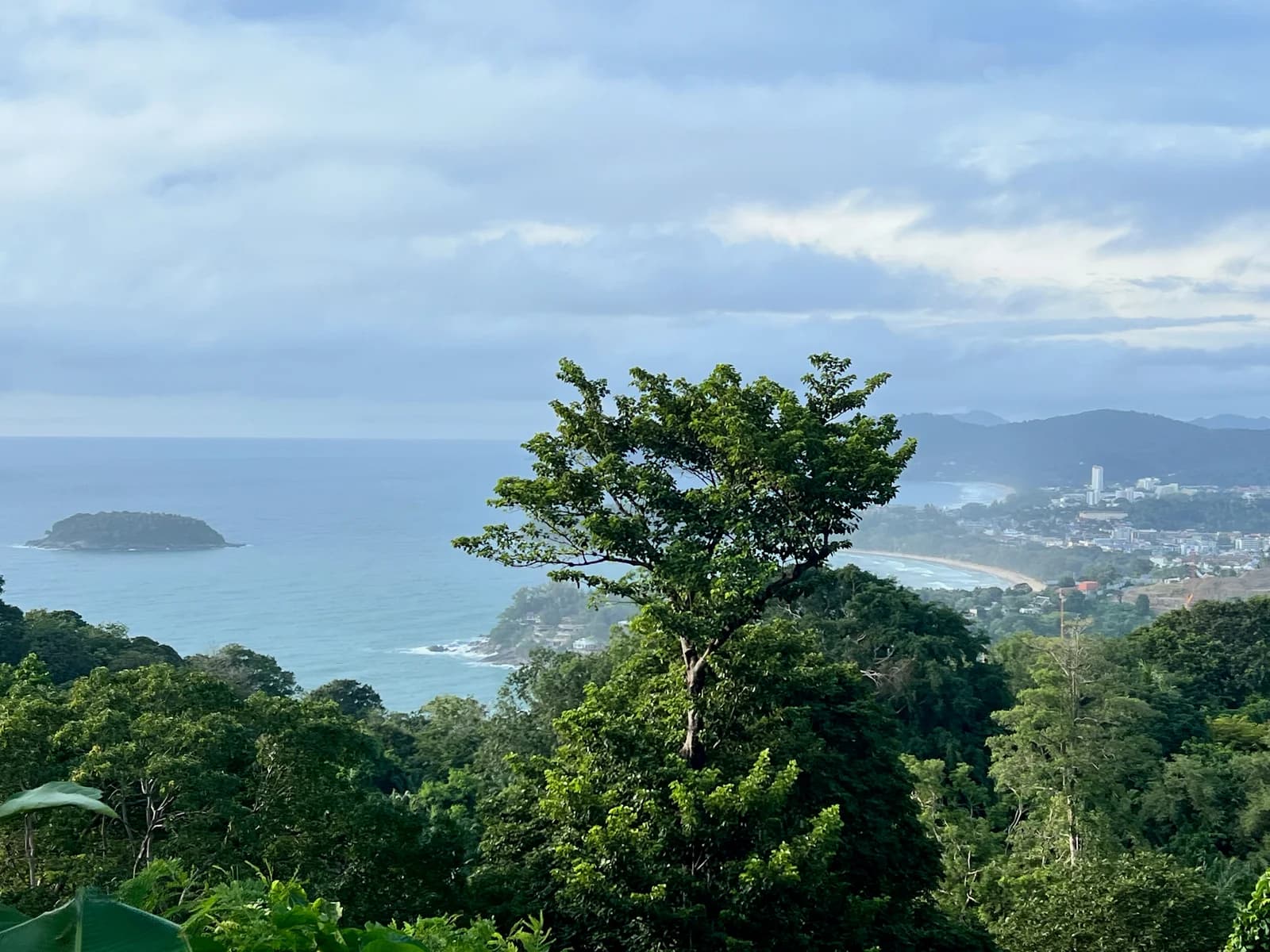 A green tree above the blue bays and wooded hills of Phuket.