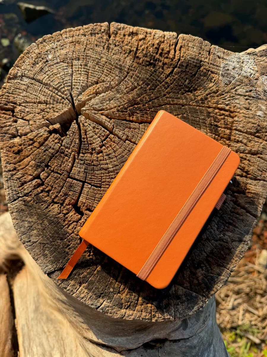 The orange journal lying on the sunlit tree stump.